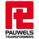 Pauwels Consulting logo