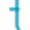EVN logo