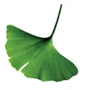 BowerGroupAsia logo