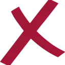 clearXperts logo