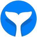 Intempt logo