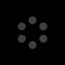 Syringa Networks LLC logo