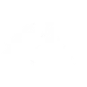 Testudo logo