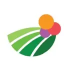Novella logo