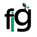 First Insurance Group LLC logo