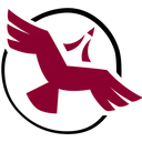 Shared Value Solutions logo