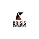 株式会社ブライシスコンサルティング logo