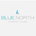 Blue North Strategies logo