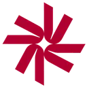 Nexialog Consulting logo