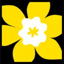 Canadian Cancer Society logo