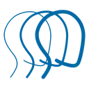 Brain Injury Association of Colorado logo