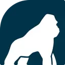 Health Gorilla, Inc. logo