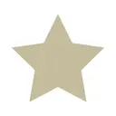 株式会社NeXT STAR logo