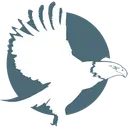 Valliant Consulting logo