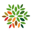 Cornerstone Solutions Group logo