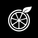 Orange Slice logo