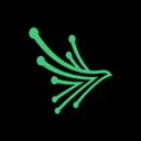 Black Kite logo