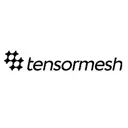 Tensormesh logo