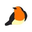 Robin logo
