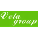 VELA GROUP logo