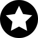 VoteRiders logo