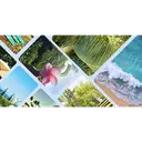 Your Freedom To Thrive logo