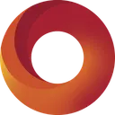 DDN logo