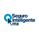 Segurointeligente logo