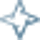 Silver Star Brands logo