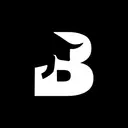 BLACKBULL INTERNATIONAL GmbH logo