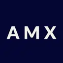 AMX Consulting logo