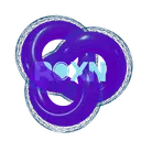 Roxonn logo