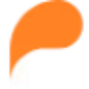 Payzli logo