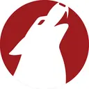 VRC Investigations logo