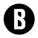 Beautystreams Inc logo