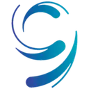 Ninth Wave logo