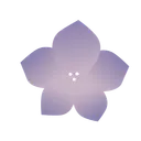 Violet Research Institute logo