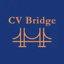 CV-BRIDGE LTD logo