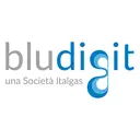 Bludigit logo
