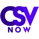 Consult Silicon Valley logo