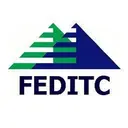 Federal IT Consulting (FEDITC) logo