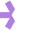 Standard Ecom logo