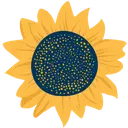 Bloom logo