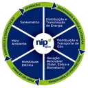 NIP do Brasil logo