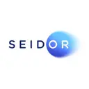 SEIDOR CONSULTING logo