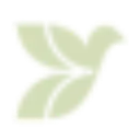 Dove Recovery logo