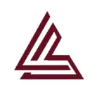 Lea & Braze Engineering logo