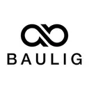 Baulig Consulting GmbH logo