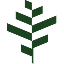 BGO New logo
