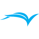 Cultural Vistas logo